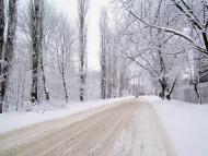 Заїки з panoramio.com