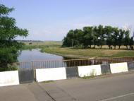 Комар з panoramio.com