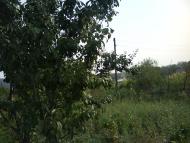 Новоайдар з panoramio.com