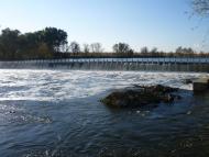 Осички з panoramio.com