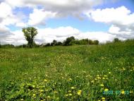 Климівка з panoramio.com