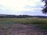 Мілова Балка з panoramio.com
