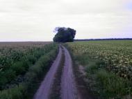 Мілова Балка з panoramio.com