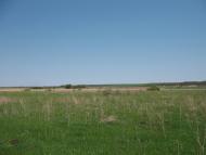 Аркадівка з panoramio.com