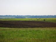 Семенівка з panoramio.com