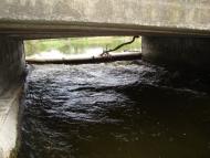 Острів з panoramio.com