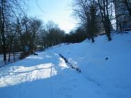 Підсоснів з panoramio.com