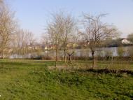 Мавковичі з panoramio.com