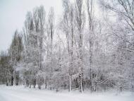 Заїки з panoramio.com