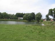 Товстоліс з panoramio.com