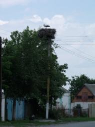 Соколове з panoramio.com