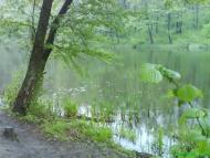 Хрипаличі з panoramio.com