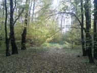 Бужанка з panoramio.com