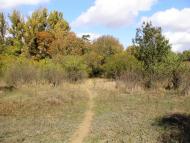 Роздольне з panoramio.com