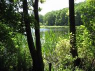 Манченки з panoramio.com