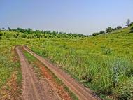 Оліївка з panoramio.com