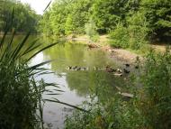 Рибальське з panoramio.com