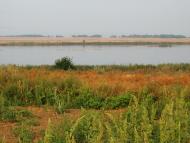 Козацьке з panoramio.com