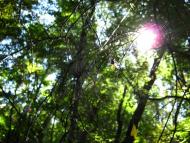 Тамара з panoramio.com