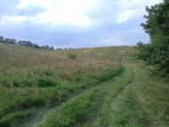 Половецьке з panoramio.com