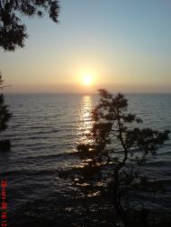 Дівички з panoramio.com