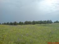 Новий Світ з panoramio.com