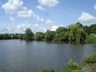 Петрашівка з panoramio.com