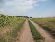 Нова з panoramio.com