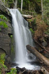 Полянська Гута з panoramio.com