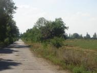 Луч з panoramio.com