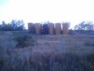 Новомиколаївка з panoramio.com