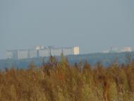 Рудка з panoramio.com