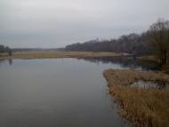 Мохновка - Последние фото