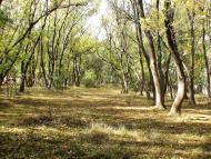 Роздольне з panoramio.com