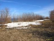 Сухолужжя з panoramio.com