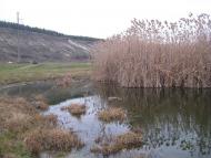 Дмитрівка з panoramio.com