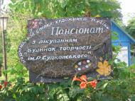 Вікторівка з panoramio.com