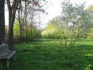 Бараниківка з panoramio.com