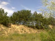 Сергіївка з panoramio.com