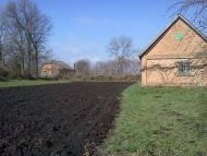 Буряки з panoramio.com