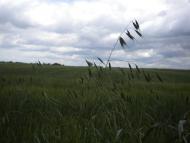 Лідихів з panoramio.com