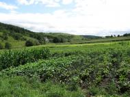 Подусільна з panoramio.com