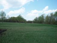 Тимченки з panoramio.com