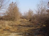 Весняне з panoramio.com
