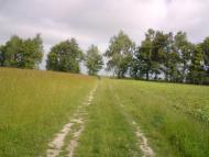 Деревини з panoramio.com