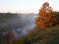 Понінка з panoramio.com