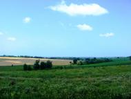 Вороне з panoramio.com