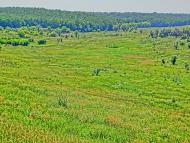 Оліївка з panoramio.com