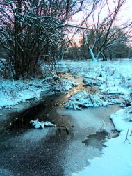 Остапенки з panoramio.com