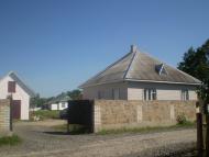 Масевичі - Останні фото